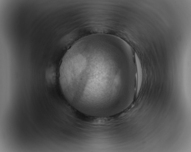 X0000096700080200802191457