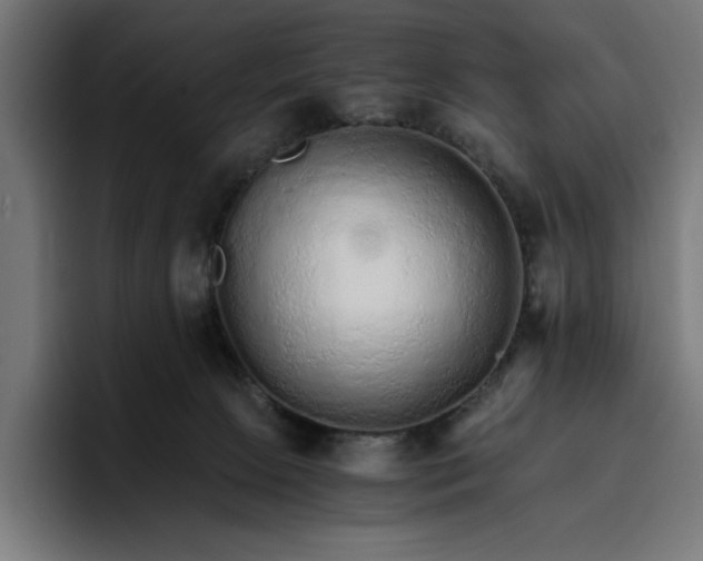 X0000096700081200802191457