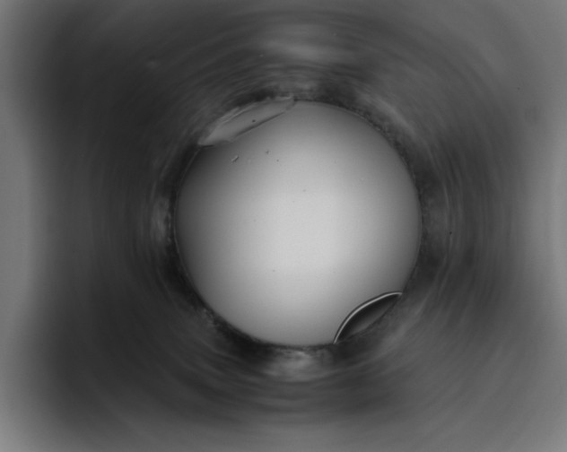 X0000096700083200802191457