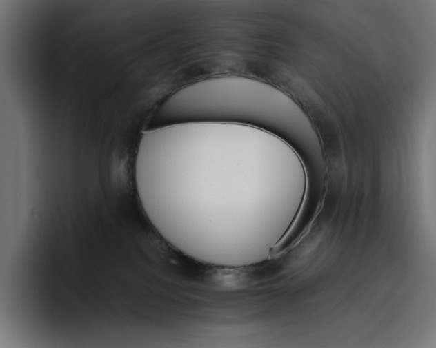 X0000096700088200802191457