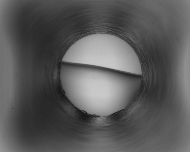 X0000096700092200802191457