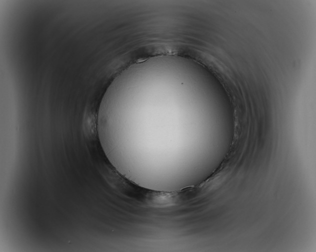 X0000096700096200802191457