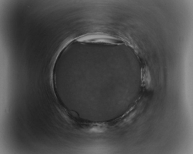 X0000096700099200802191456