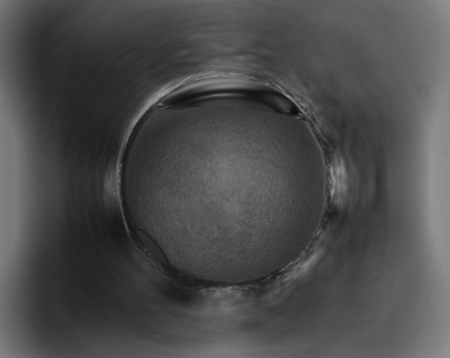 X0000096700100200802191456