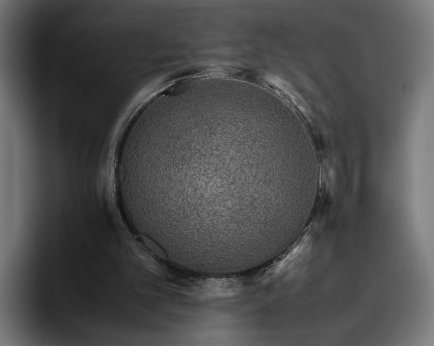 X0000096700101200802191456