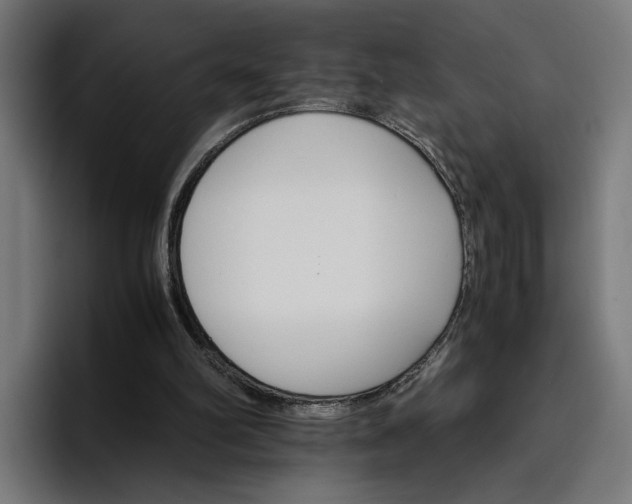 X0000096700102200802191456