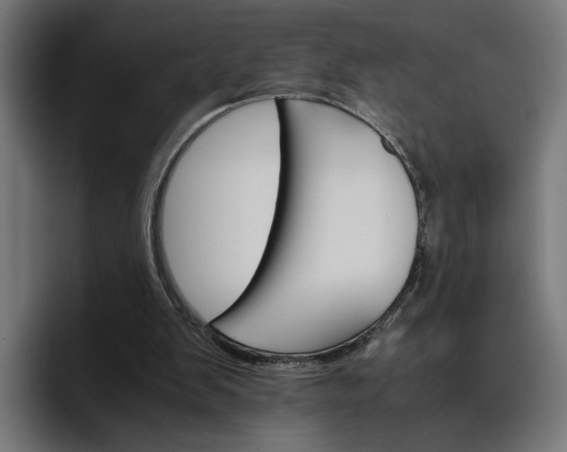 X0000096700103200802191456