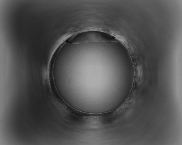 X0000096700104200802191456