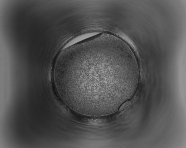 X0000096700105200802191456