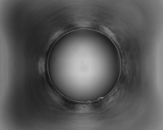 X0000096700106200802191456