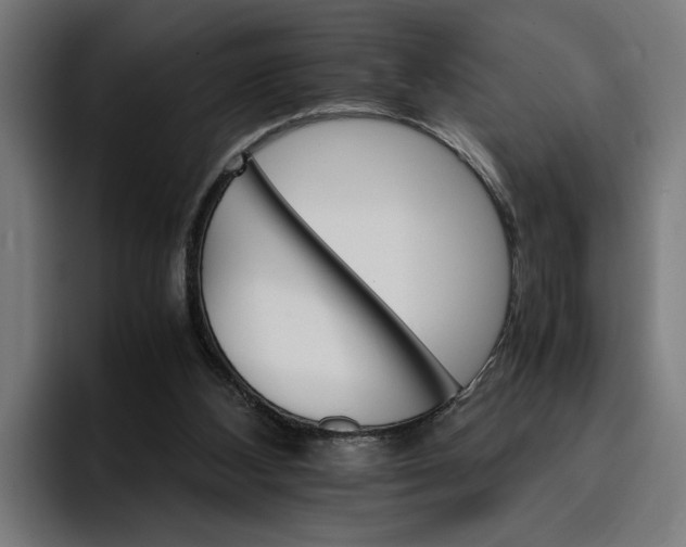 X0000096700108200802191456