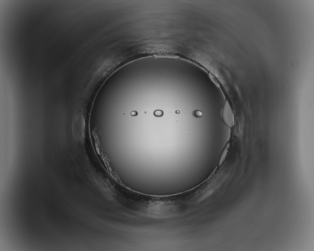 X0000096700109200802191456