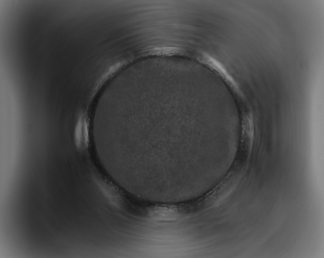 X0000096700110200802191456