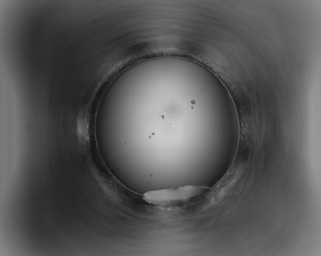 X0000096700112200802191456