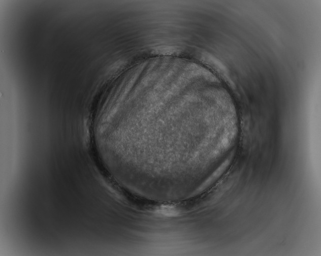 X0000096700114200802191456