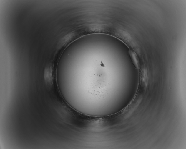 X0000096700116200802191456
