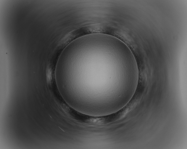 X0000096700117200802191456