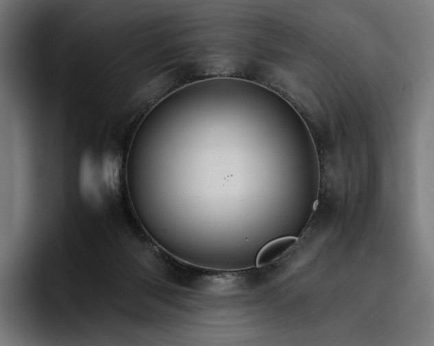 X0000096700118200802191456