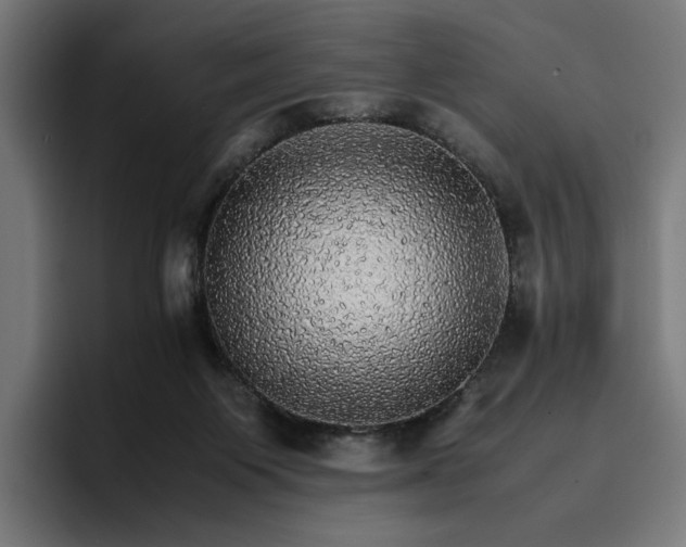 X0000096700119200802191456