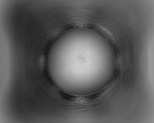 X0000096700121200802191456