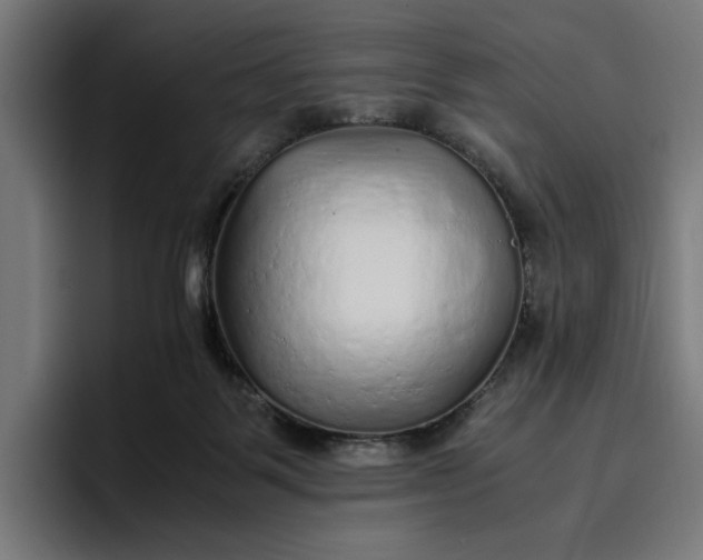 X0000096700123200802191456