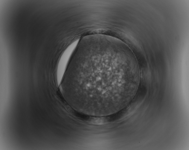 X0000096700127200802191456