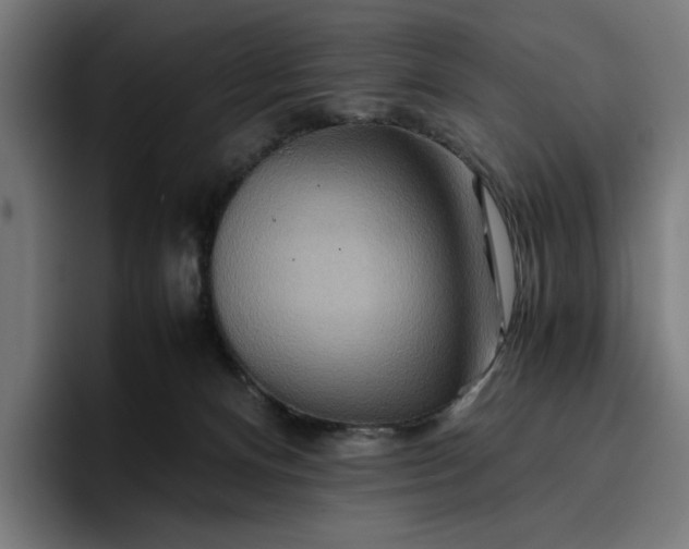 X0000096700128200802191456