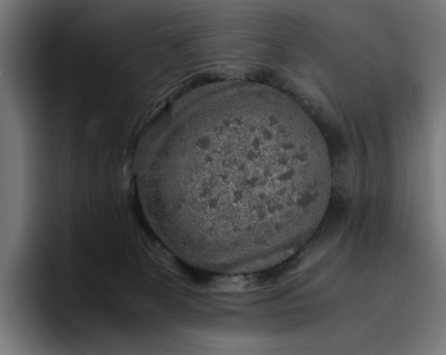 X0000096700131200802191456