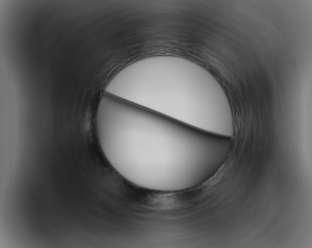 X0000096700132200802191456