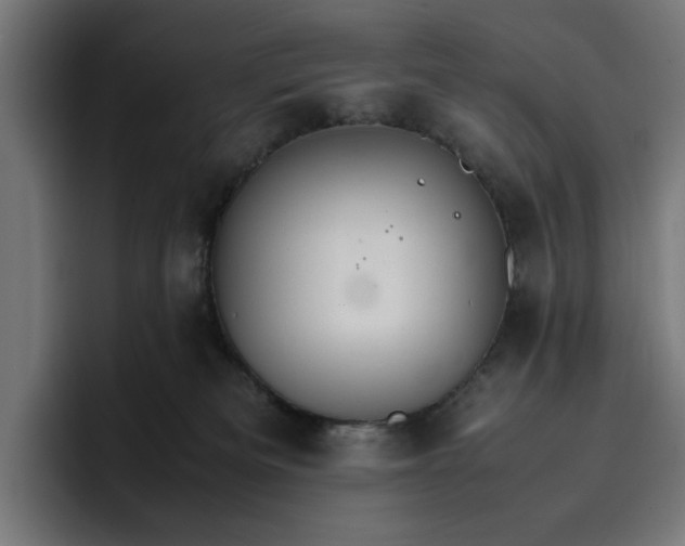 X0000096700133200802191456