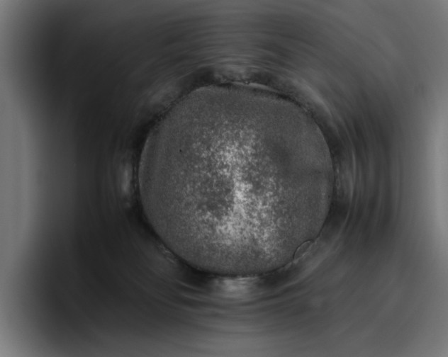 X0000096700134200802191456