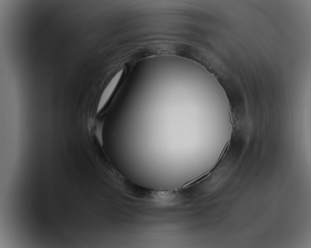 X0000096700141200802191456