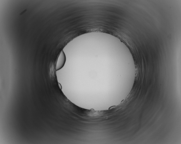 X0000096700142200802191456