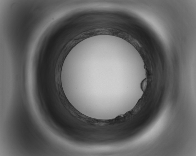 X0000096700143200802191456