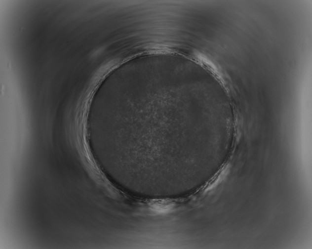 X0000096700145200802191455