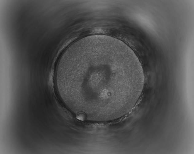 X0000096700146200802191455