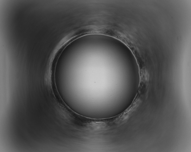 X0000096700150200802191455