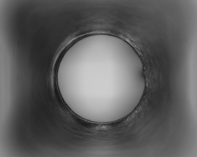 X0000096700152200802191455