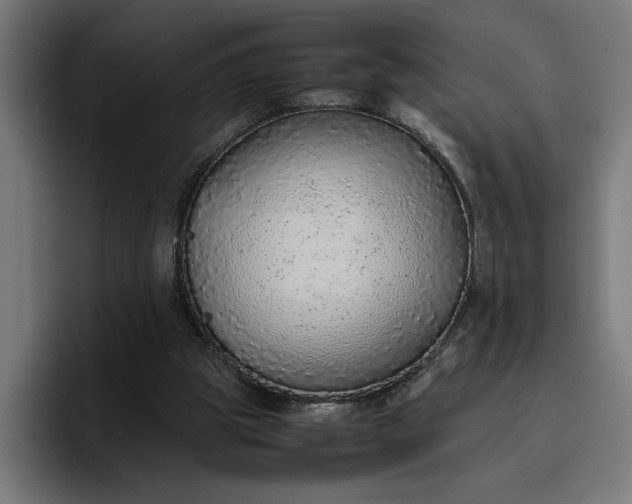 X0000096700153200802191455