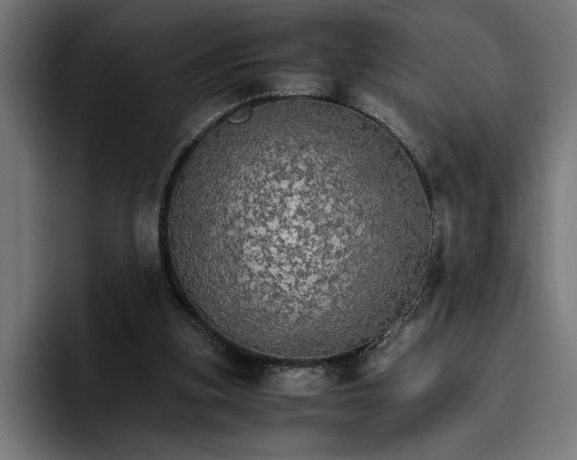 X0000096700155200802191455