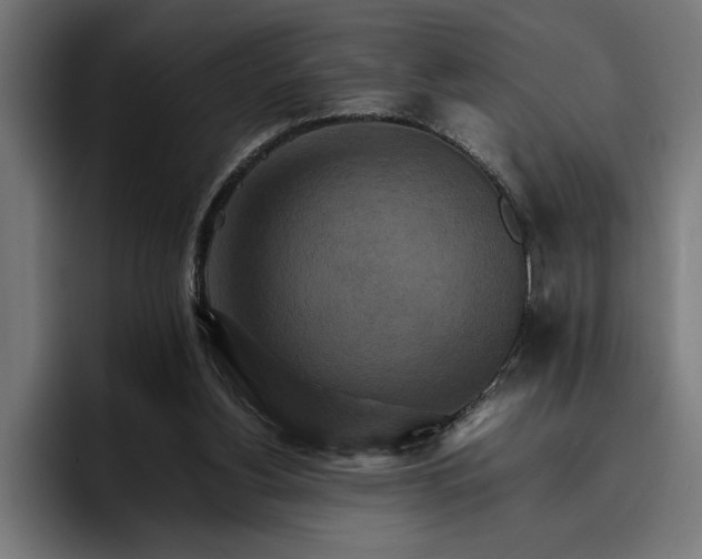 X0000096700156200802191455
