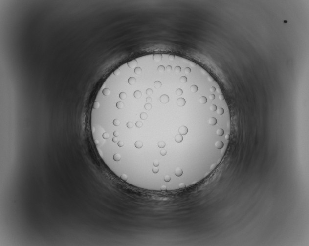 X0000096700159200802191455