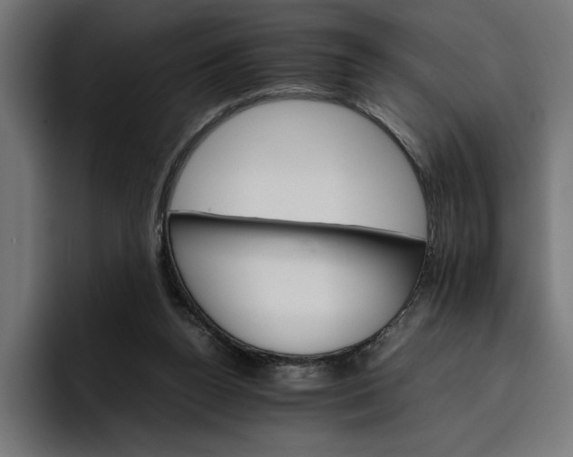 X0000096700160200802191455