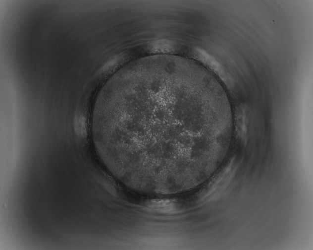 X0000096700161200802191455