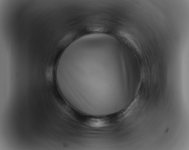 X0000096700167200802191455