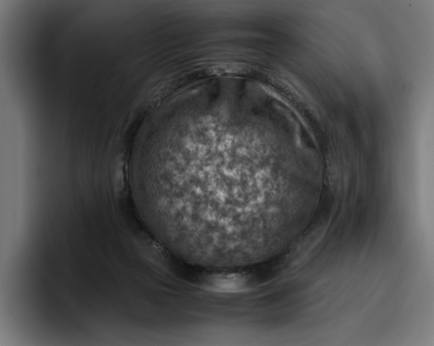 X0000096700169200802191455