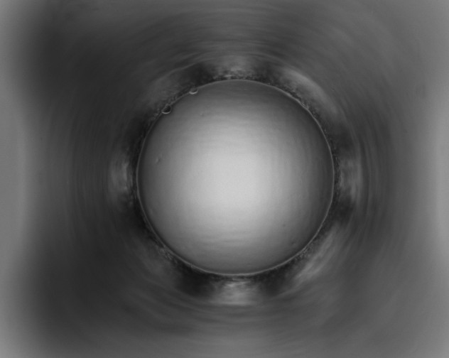 X0000096700173200802191455