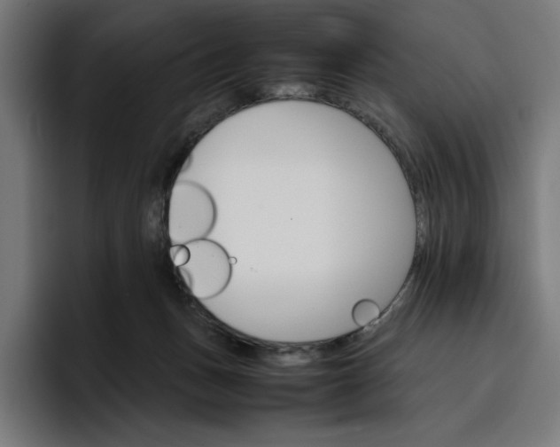 X0000096700175200802191455
