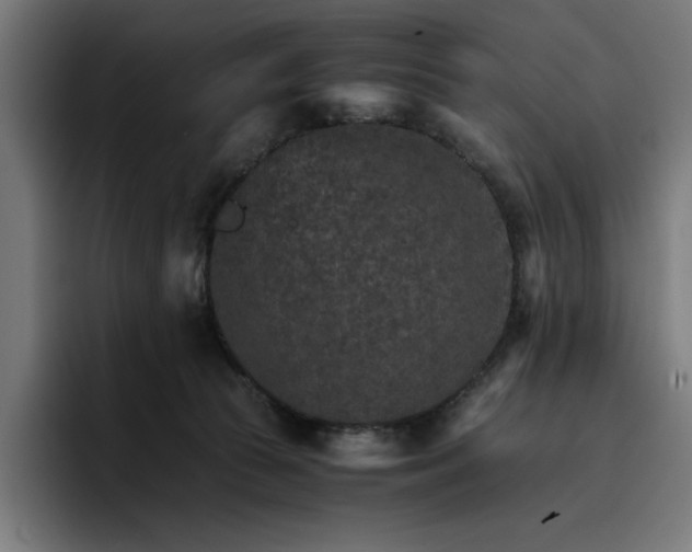 X0000096700177200802191455