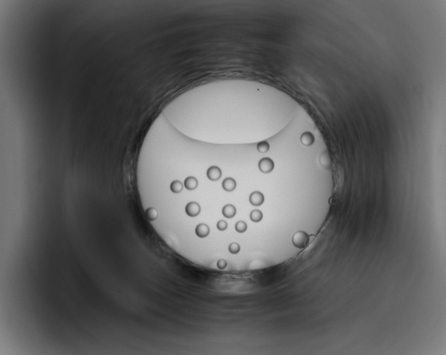 X0000096700179200802191455